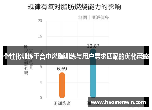 个性化训练平台中燃脂训练与用户需求匹配的优化策略